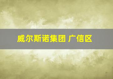 威尔斯诺集团 广信区